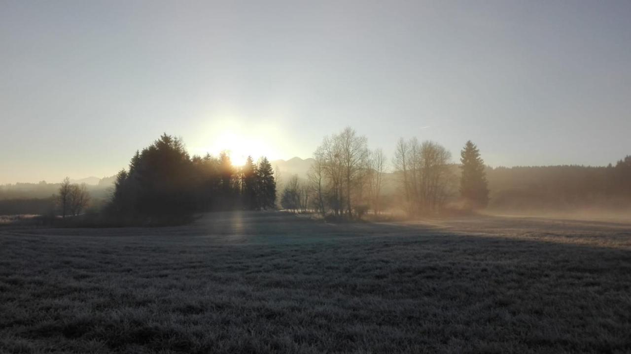 Heimat-Raum Daire Bayersoien Dış mekan fotoğraf
